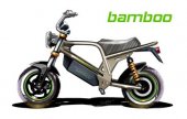 2013 Clipic Bamboo photo